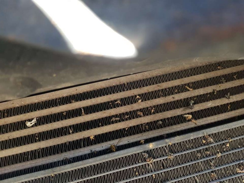 Recambio de intercooler para jaguar xf 2.2 diesel referencia OEM IAM C2Z30770  