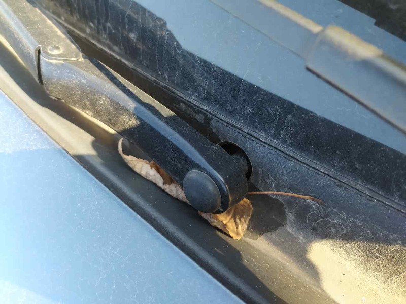 Recambio de motor limpia delantero para seat leon (5f1) style visio edition referencia OEM IAM 5F1955023B  