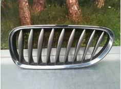 REJILLA DELANTERA 51137018217 PICADA IZQUIERDA