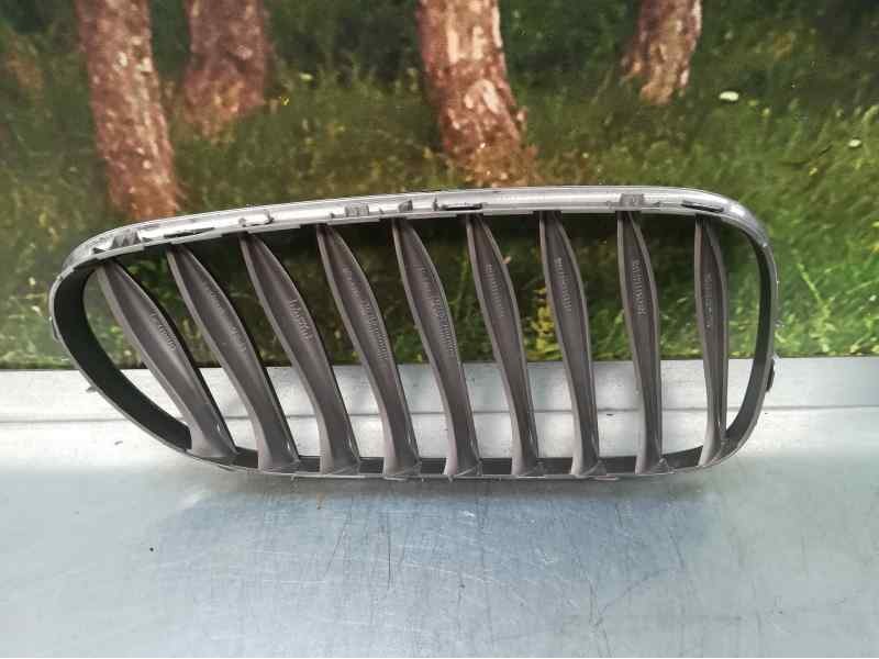 Recambio de rejilla delantera para bmw z4 coupe (e86) 3.0si referencia OEM IAM 51137018217 PICADA IZQUIERDA