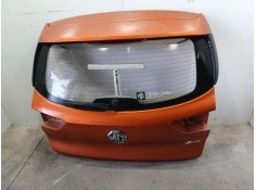 PORTON TRASERO 10691021 