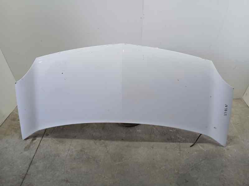 Recambio de capot para renault kangoo furgón compact comfort referencia OEM IAM 651003220R  ROZADA