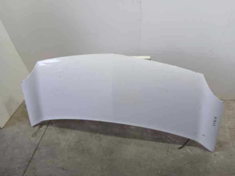 Recambio de capot para renault kangoo furgón compact comfort referencia OEM IAM 651003220R  ROZADA
