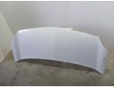 Recambio de capot para renault kangoo furgón compact comfort referencia OEM IAM 651003220R  ROZADA