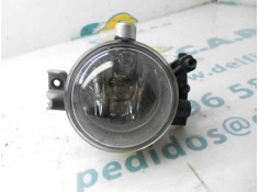 Recambio de faro antiniebla derecho para ford focus berlina (cap) ghia referencia OEM IAM 1481005  