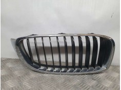 REJILLA DELANTERA 7294820 LADO DERECHO