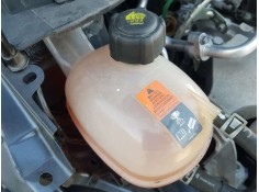 DEPOSITO EXPANSION 217105FA0A 