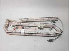 AIRBAG CORTINA DELANTERO DERECHO 0589P1000904 34216413D 