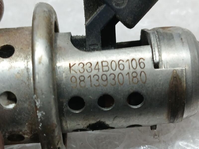 Recambio de inyector adblue para citroën berlingo furgoneta/monovolumen (k9) 1.5 bluehdi 75 referencia OEM IAM 9813930180  