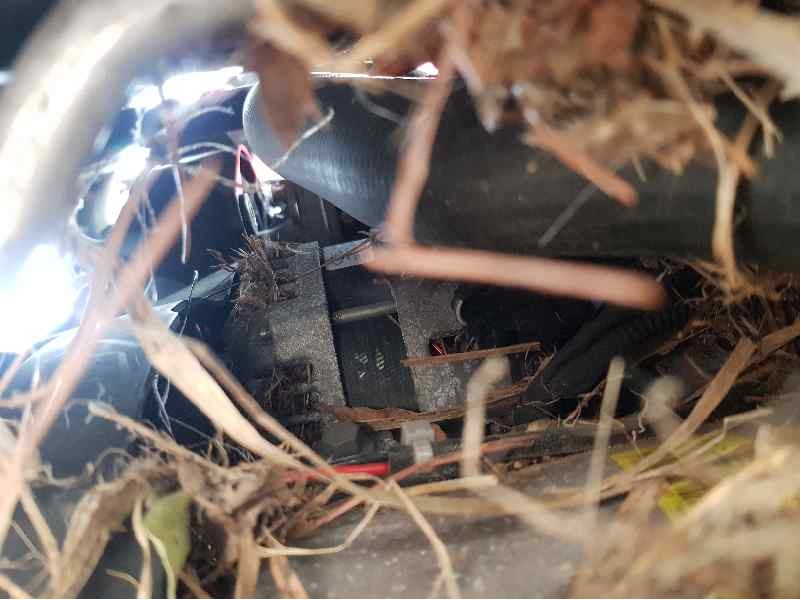 Recambio de alternador para ford fiesta (ccn) gt-line referencia OEM IAM CV6T10300FA  