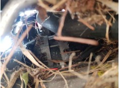 Recambio de alternador para ford fiesta (ccn) gt-line referencia OEM IAM CV6T10300FA  