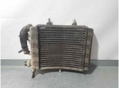 RADIADOR AGUA 8202209 