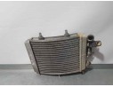 Recambio de radiador agua para aprilia scarabeo scarabeo 250 referencia OEM IAM 8202209  