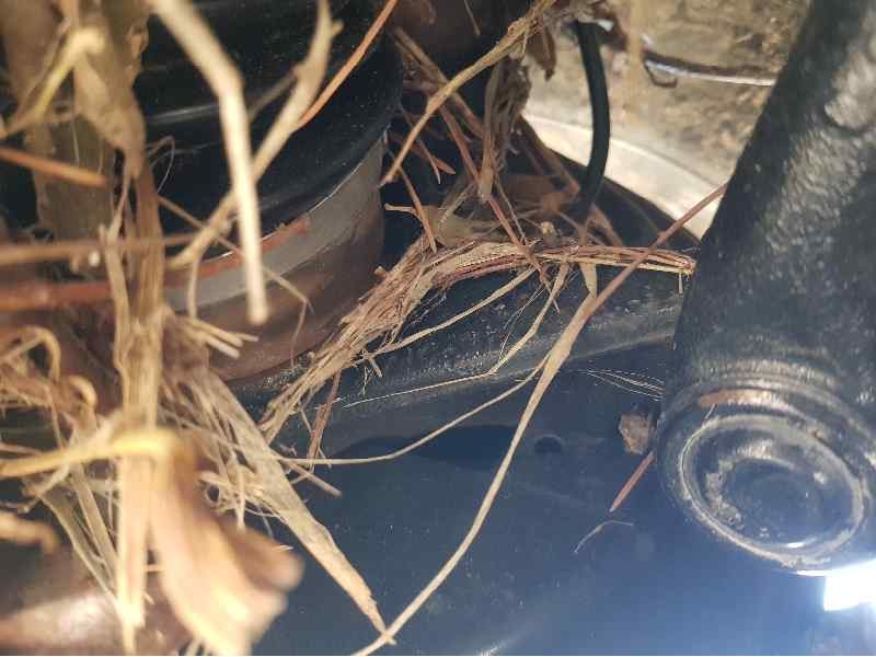 Recambio de mangueta delantera derecha para ford fiesta (ccn) gt-line referencia OEM IAM AY1C3K170B1A  