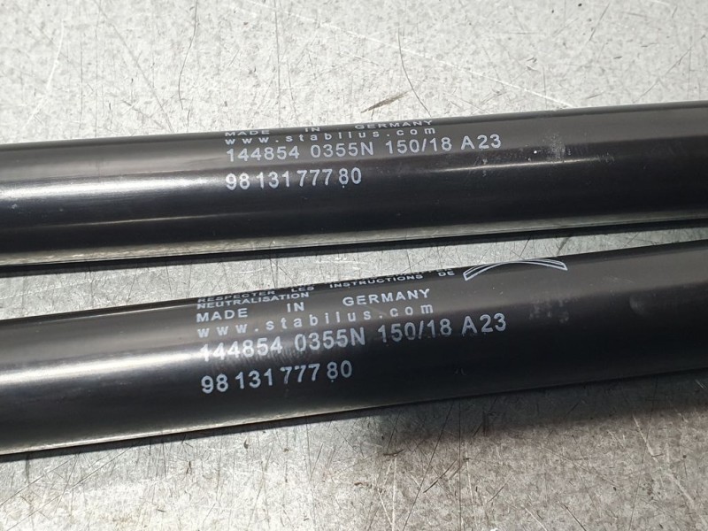 Recambio de amortiguadores maletero / porton para citroën c3 feel referencia OEM IAM 9813177780  PAREJA