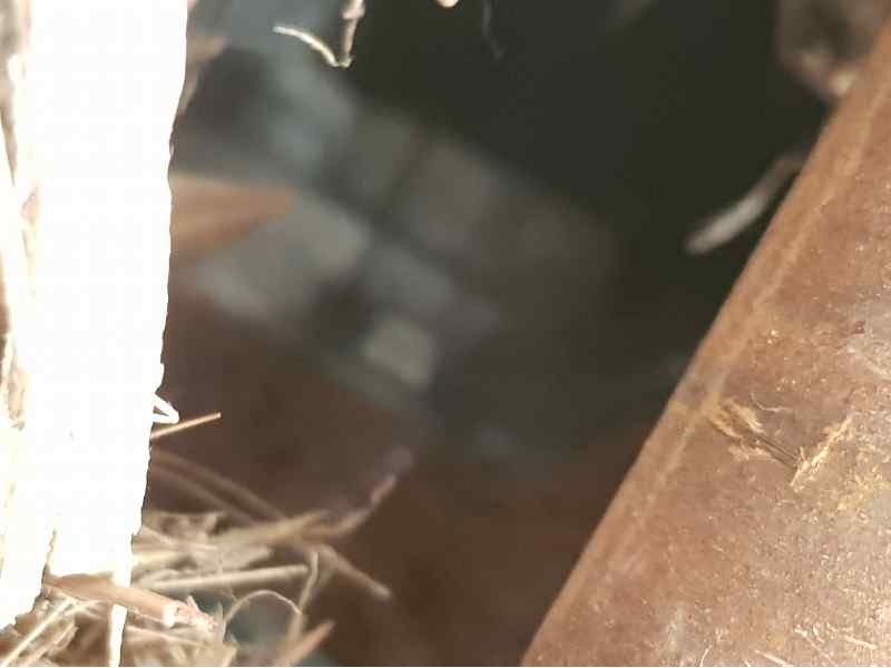 Recambio de motor arranque para ford fiesta (ccn) gt-line referencia OEM IAM CV6T11000GC  