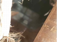 Recambio de motor arranque para ford fiesta (ccn) gt-line referencia OEM IAM CV6T11000GC  