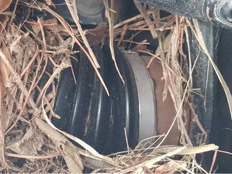 Recambio de transmision delantera derecha para ford fiesta (ccn) gt-line referencia OEM IAM CV173B436BD  