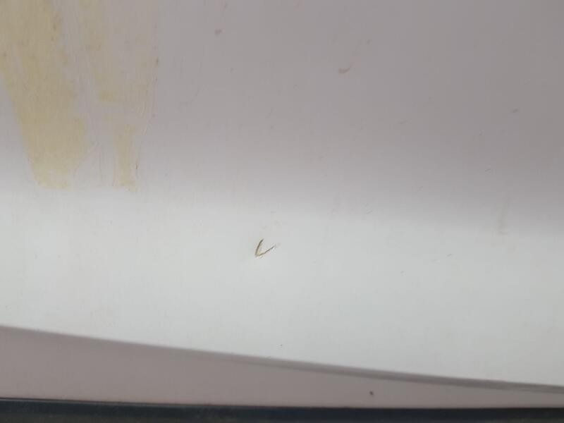 Recambio de puerta trasera derecha para seat arona style edition referencia OEM IAM 6F9833052E  TOCADA