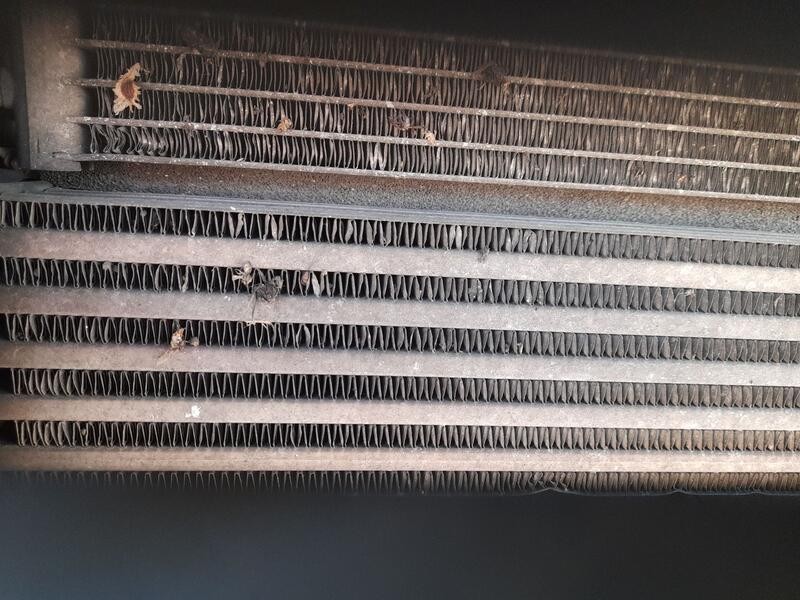 Recambio de intercooler para volkswagen polo v (6r1, 6c1) 1.2 tdi referencia OEM IAM 6R0145805  