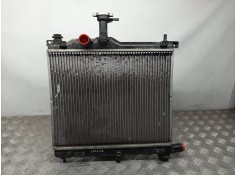 RADIADOR AGUA 253104P000 