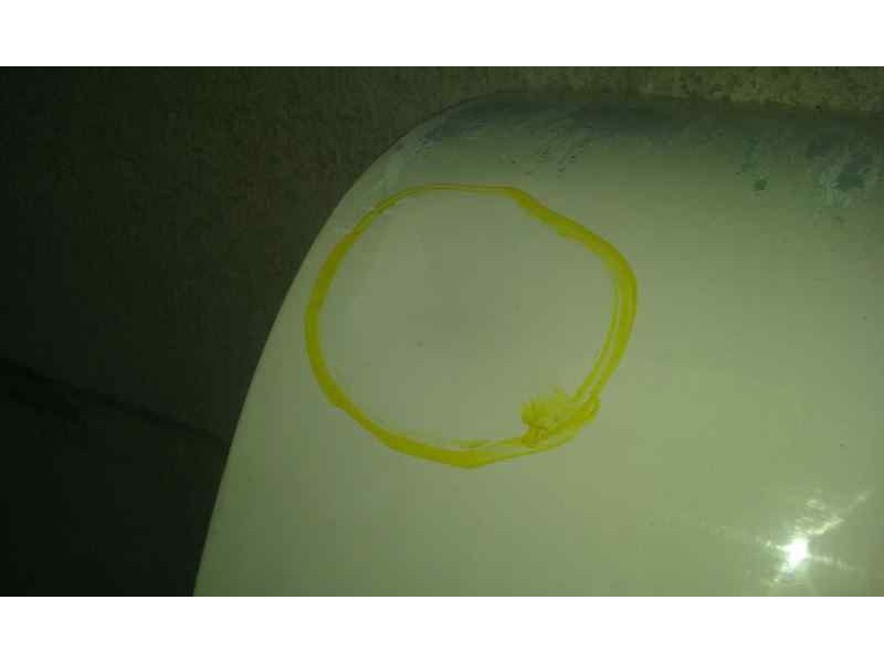 Recambio de puerta trasera derecha carga para ford transit connect (tc7) furgón (2006) referencia OEM IAM   TOCADA