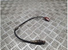 SONDA LAMBDA 036906262 