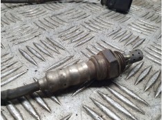 SONDA LAMBDA 036906262 