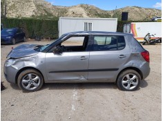 SKODA FABIA II (542)