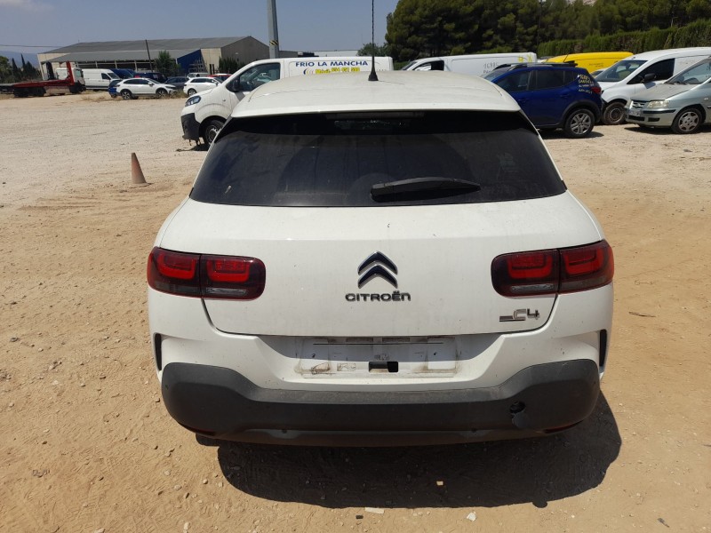 citroën c4 cactus del año 2019