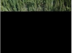 BMW SERIE 3 BERLINA (E36)