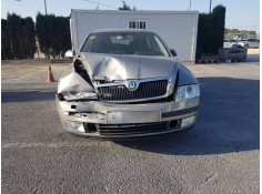 SKODA OCTAVIA BERLINA (1Z3)