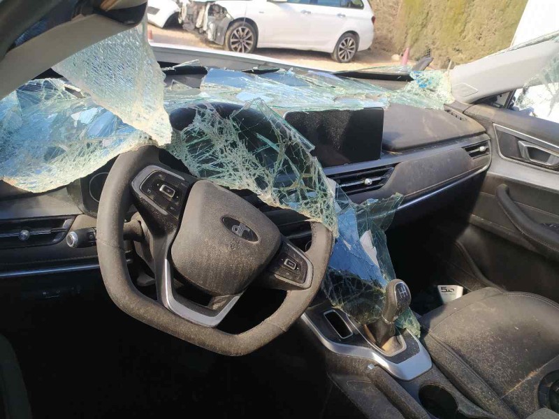 dr 5.0 del año 2023