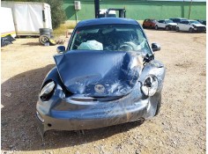 VOLKSWAGEN NEW BEETLE (9C1/1C1)