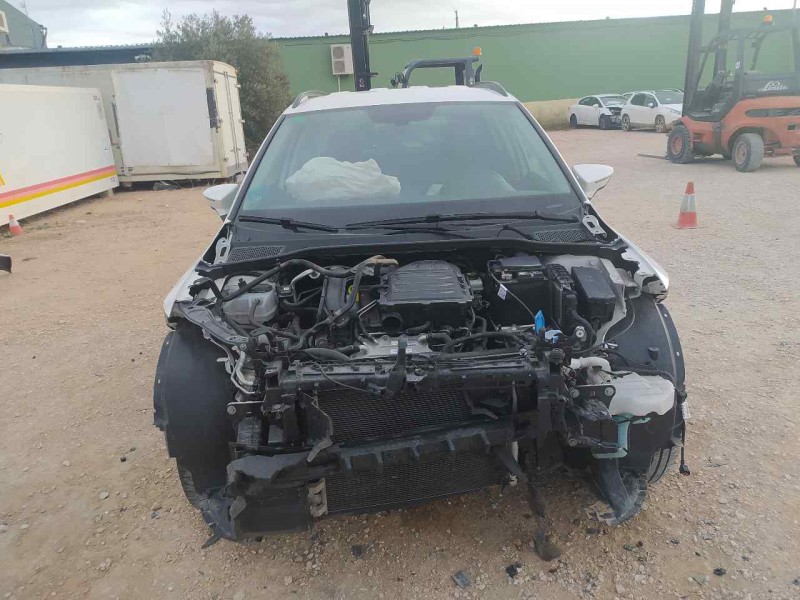 seat arona del año 2019