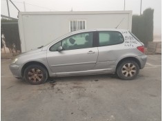 PEUGEOT 307 (S1)