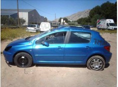 PEUGEOT 307 (S1)