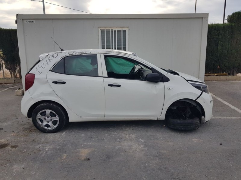kia picanto (ja) del año 2019
