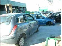 LANCIA YPSILON (101)