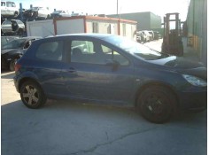 PEUGEOT 307 (S1)