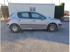 PEUGEOT 307 (S1)