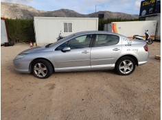 PEUGEOT 407 (6D_)