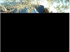 PEUGEOT 406 BERLINA (S1/S2)