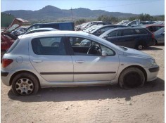 PEUGEOT 307 (S1)
