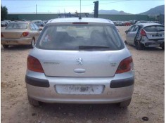 PEUGEOT 307 (S1)