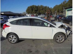 FORD FOCUS LIM. (CB8)