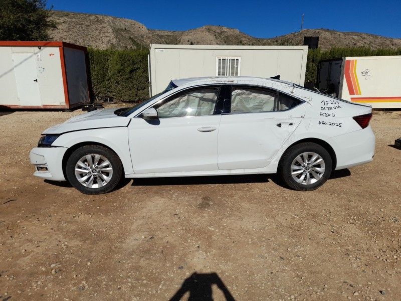 skoda octavia iv (nx3, nn3, pv3) del año 2025