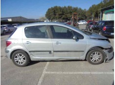 PEUGEOT 307 (S1)