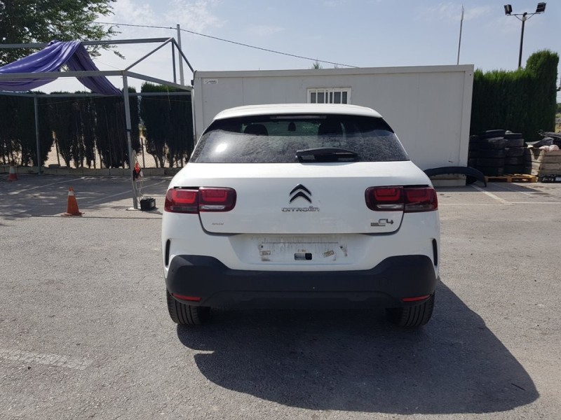 citroën c4 cactus del año 2019