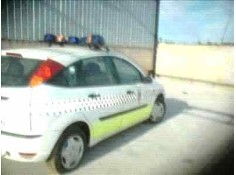 FORD FOCUS BERLINA (CAK)